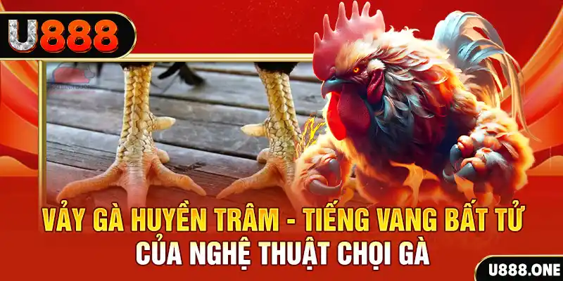 58vin đăng nhập roulette trực tuyến